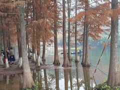 -重庆彩云湖湿地公园