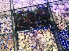 -青蓬蒸汽海鲜·深圳老字号·团建聚会(壹方城店)