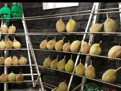 -都念榴莲·城市榴莲