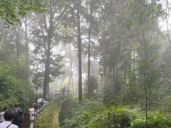 -中国大熊猫保护研究中心雅安碧峰峡基地