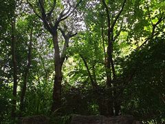-腾冲洞山温泉村
