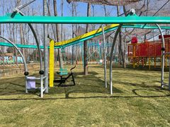 -合肥滨湖国家森林公园