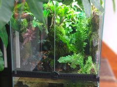 -繁花足道(梅江店)