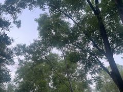 -森林公园(尖草坪区)