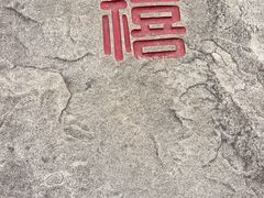 -上海滨江森林公园