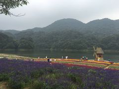 -广州市石门国家森林公园
