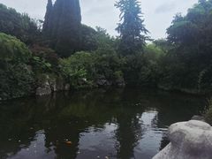 -梅园