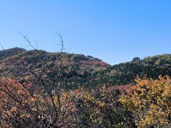 -北京西山国家森林公园