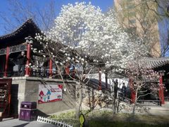 -碑林公园
