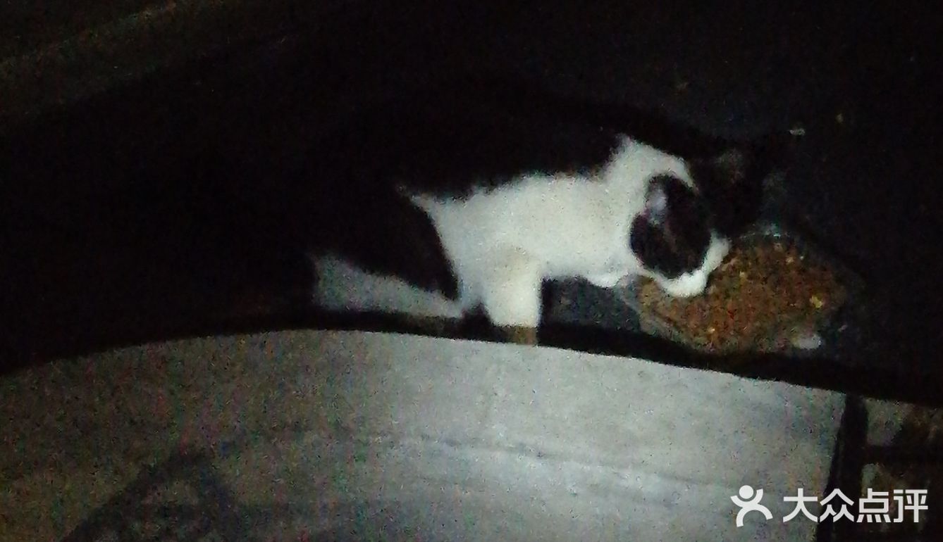 【6区】终于在白天看清了她的脸，起名梦露。