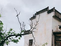 -篁岭景区
