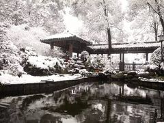 -南山植物园