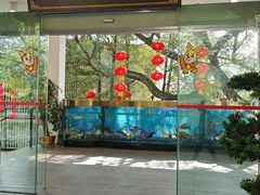 -畔山酒店中餐厅