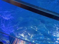 -正佳极地海洋世界