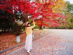 -京都御所