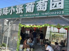 -马陆小张葡萄园农家乐