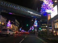 -同乐海鲜(乌节路中央店)