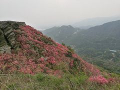 -木兰云雾山