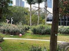 -人民公园(罗湖区)