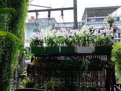 -自然餐厅(Phuket)
