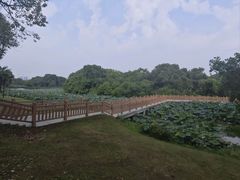 -艾溪湖湿地公园