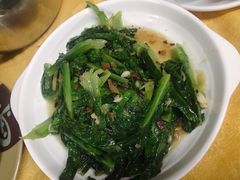 鲮鱼油麦菜-化州肥仔大排档(建安二路店)