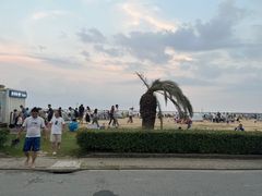 -碧海金沙
