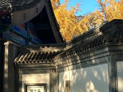 -北京国子监胡同