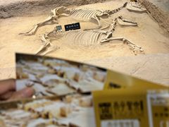 -洛阳周王城天子驾六博物馆