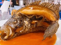 -珍宝海鲜JUMBO Seafood(尚嘉店)