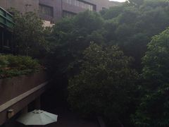 -香港大学