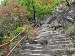 -吉林市朱雀山国家森林公园