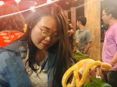 -清迈夜间动物园