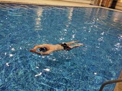 -耀达国际酒店-游泳池·健身房