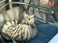 -后海16号·北京私房菜