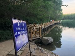 -云岗森林公园