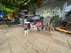 -庞各庄翠芳园西瓜蔬菜基地采摘园