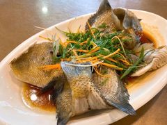 清蒸太阳鱼-大唐靓汤江门私房菜(景田店)