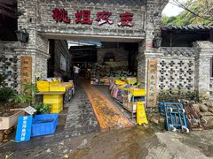 -桃姐农庄老字号(从化温泉店)