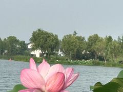 -尚湖风景区