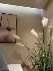 -阅年轻·AI家庭健康体质调理