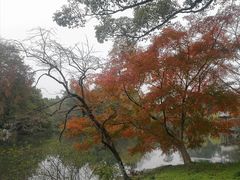 -西湖外事游船(花港观鱼码头)