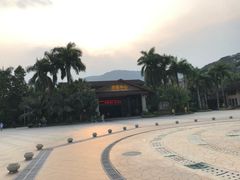 -呀诺达热带雨林