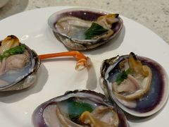 -青蓬蒸汽海鲜·深圳老字号·团建聚会(壹方城店)