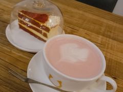 -吉丁鸟咖·异宠·寄养