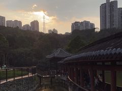 -龙头寺公园