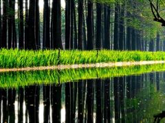 -上海共青森林公园