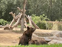 -北京野生动物园