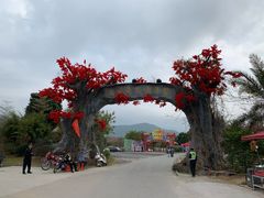 -天适樱花悠乐园