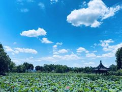 -东湖磨山景区